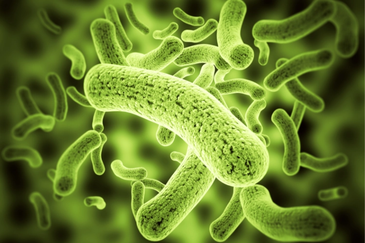 Cómo evitar la acumulación de bacterias en artículos de plástico en la cocina