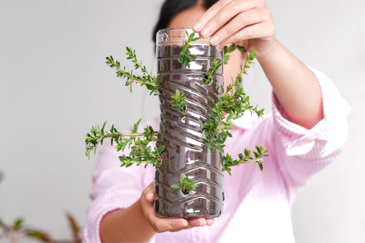 Cómo reutilizar productos plásticos de manera creativa en el hogar