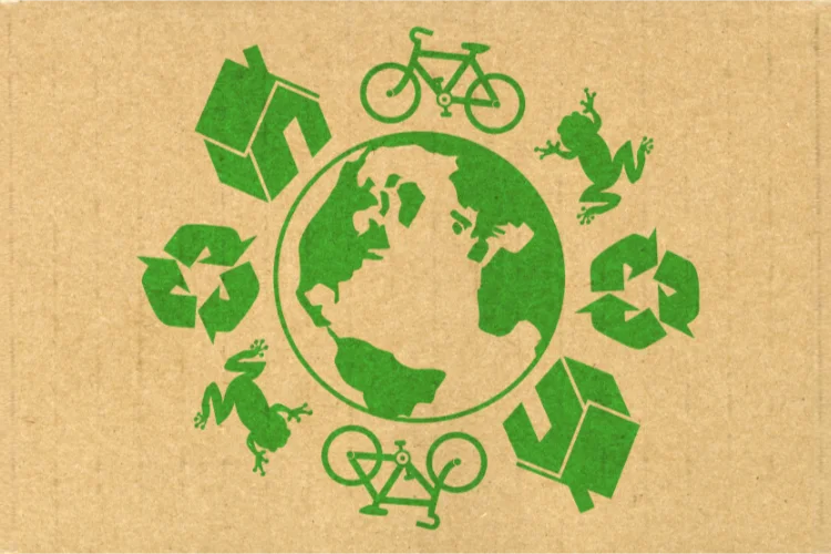 Cómo las regulaciones ambientales están impulsando la innovación en plásticos reciclables