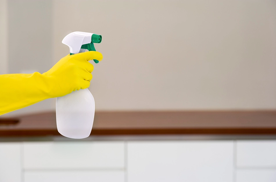 Atomizador de Plástico 550 ml con Rociadores Ajustables, spray para Plantas y Uso Doméstico | Torosqui - Image 2